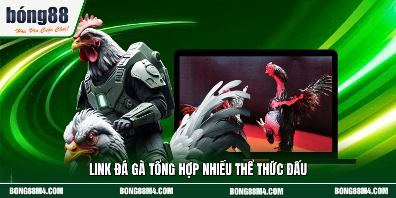 Link đá gà tổng hợp nhiều thể thức đấu
