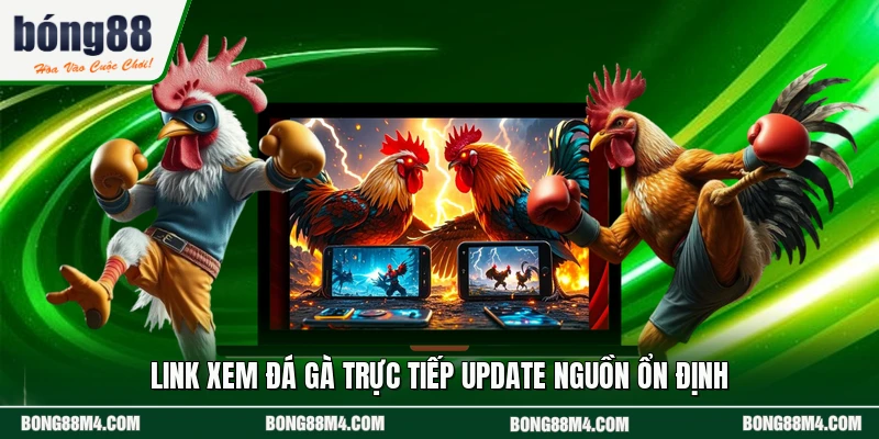 Link xem đá gà trực tiếp update nguồn ổn định