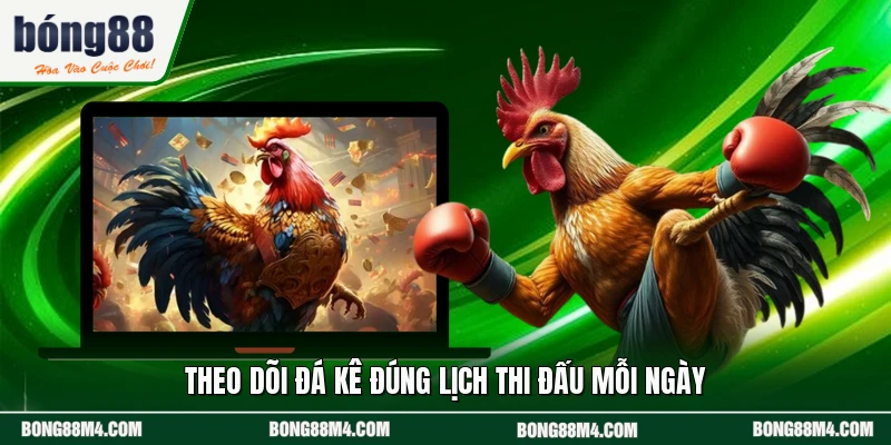 Theo dõi đá kê đúng lịch thi đấu mỗi ngày